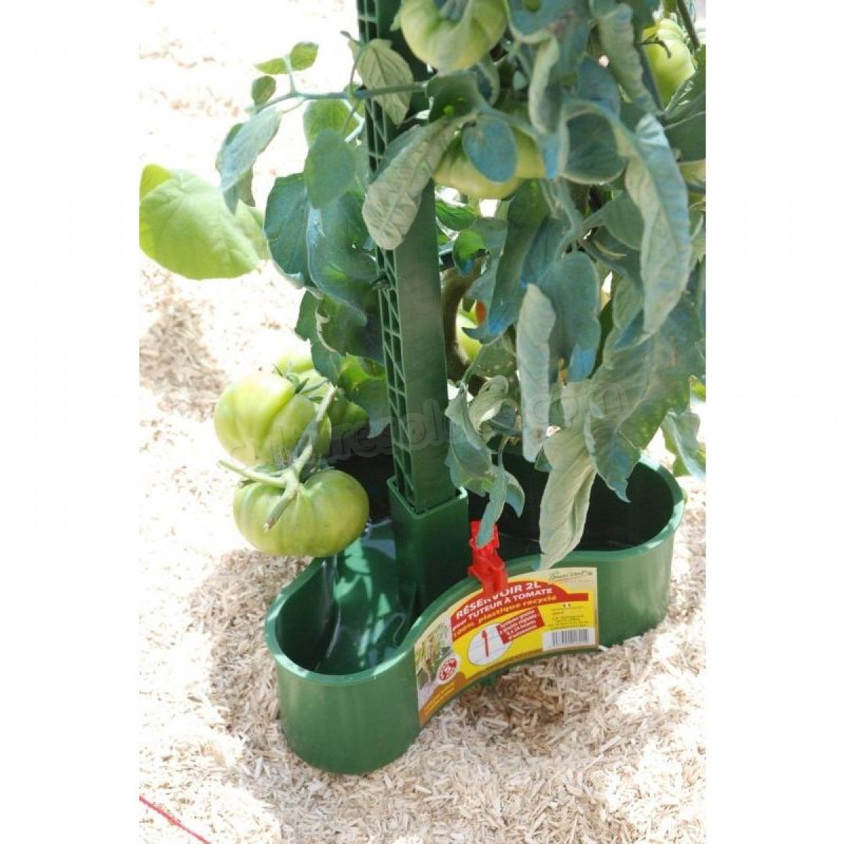 Réservoir éco-tuteur à tomates soldes en ligne - Réservoir éco-tuteur à tomates soldes en ligne