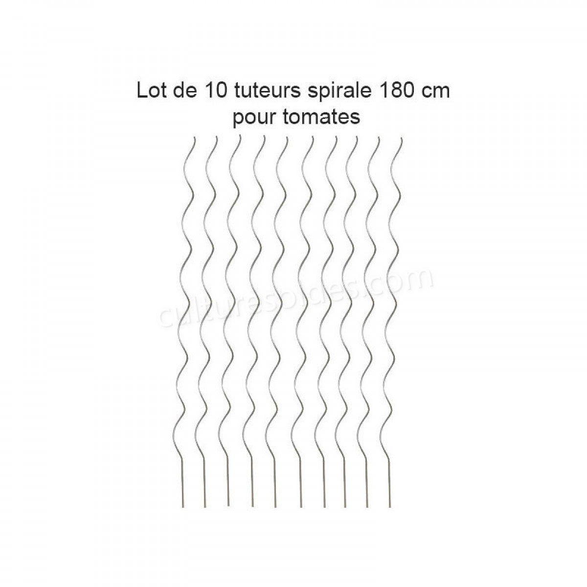 Lot de 10 Tuteurs spirale 180cm pour plants de tomates en acier galvanisé soldes en ligne - Lot de 10 Tuteurs spirale 180cm pour plants de tomates en acier galvanisé soldes en ligne