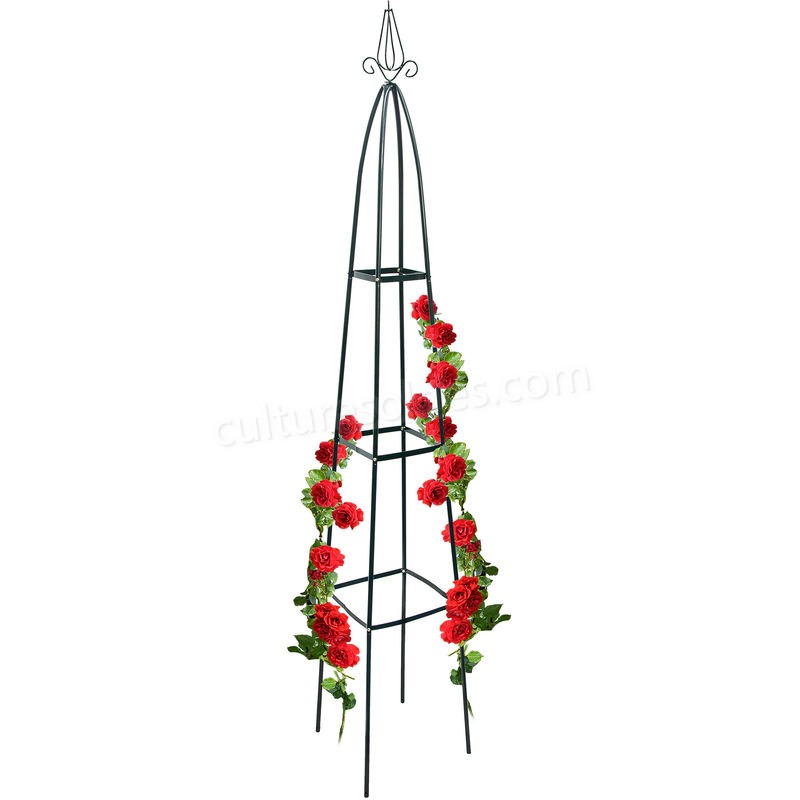  Obélisque de jardin pour roses 40 x 40 cm largeur au sol fleurs fruits support pour rosier pointu 2 m décoration en métal laqué stable tuteur pour plantes grimpantes, vert soldes en ligne - -0