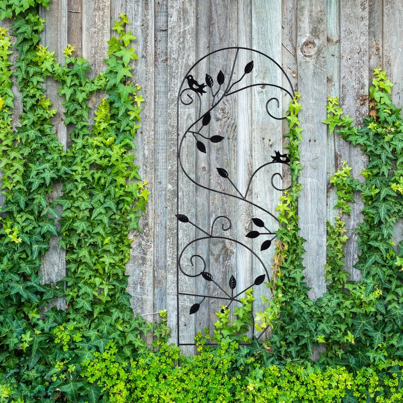  Treillis jardin oiseaux fer, Clôture plante grimpante Grille fleurs métal, Arceau rosier, 120 x 40 cm, blanc soldes en ligne - -2