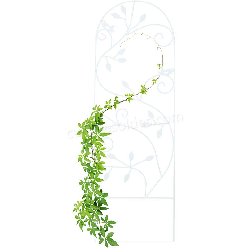  Treillis jardin oiseaux fer, Clôture plante grimpante Grille fleurs métal, Arceau rosier, 120 x 40 cm, blanc soldes en ligne - -0