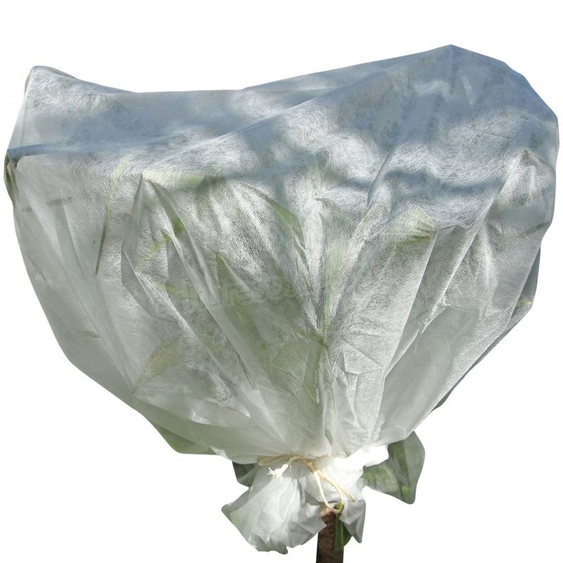 Voile d'hivernage pour plantes 2m x 5m 30g/m² - Blanc - Linxor soldes en ligne - -0