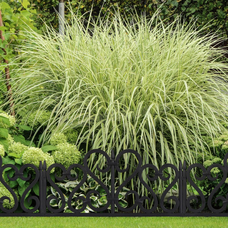  Bordure de jardin plastique, Clôture gazon 28 cm, 4 éléments, parterre massif pelouse, noir soldes en ligne - -1
