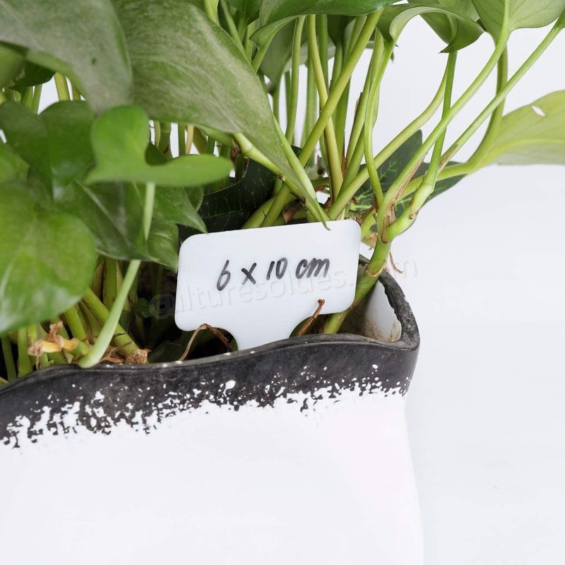 Sekey �tiquettes � planter, 90 pcs 10 x 6 cm, Signes �tiquette autocollante de Jardin �tanche soldes en ligne - -3