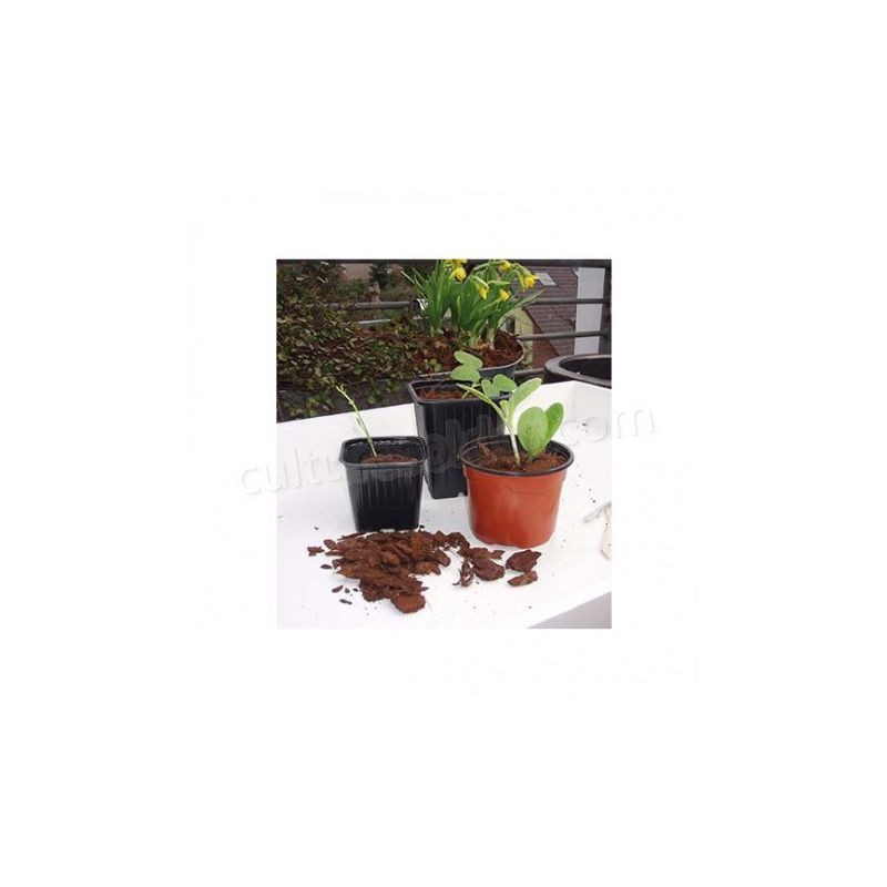 Petits pots horticoles carrés pour semis soldes en ligne - -1