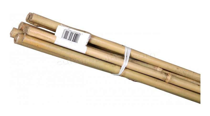 Baton de bambou 600x6-8 mm (10 pièces) soldes en ligne - -0