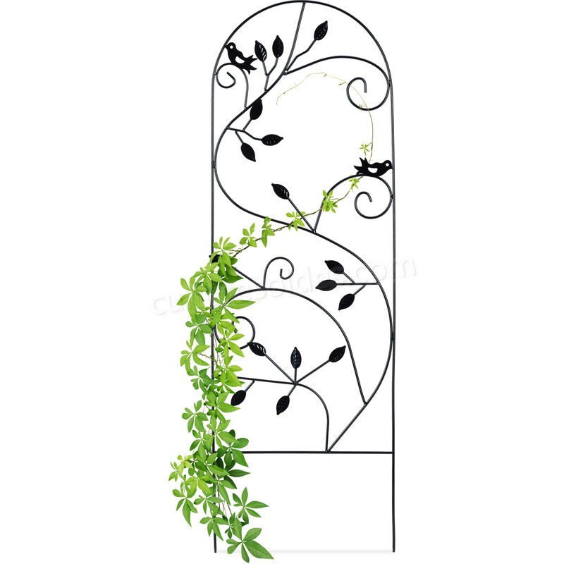  Treillis jardin oiseaux fer, Clôture plante grimpante Grille fleurs métal, Arceau rosier, 120 x 40 cm, noir soldes en ligne - -0