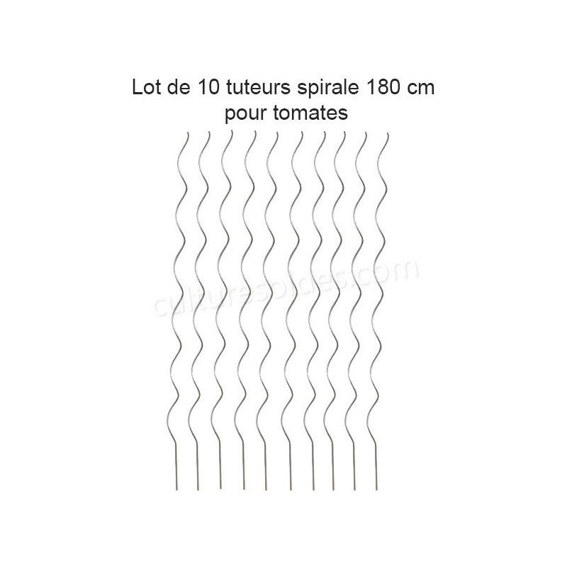 Lot de 10 Tuteurs spirale 180cm pour plants de tomates en acier galvanisé soldes en ligne - -0