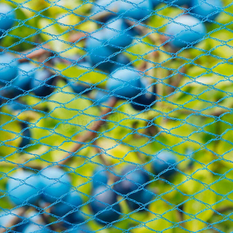 Nature Filet d'oiseaux Nano 5x4 m Bleu soldes en ligne - -1