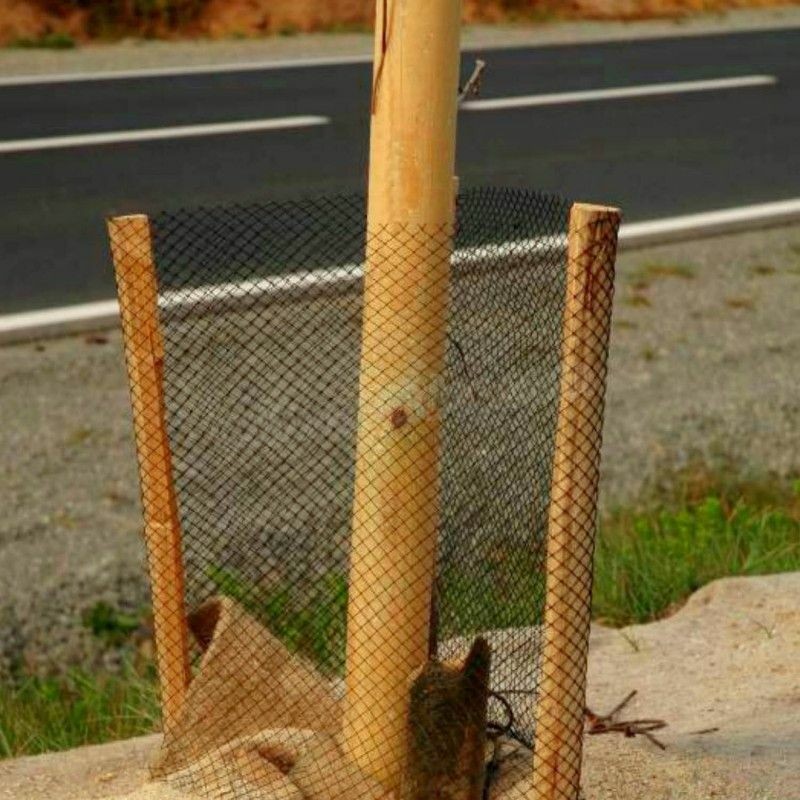 [PACK] 1 Manchon Dissuasion (Protection Rongeur) + 2 Tuteurs Bambous soldes en ligne - -0