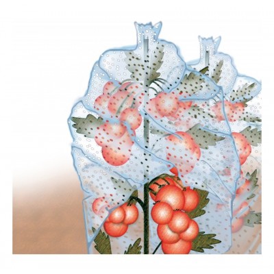 Protège tomate 0,65x10m 20microns ,transparent soldes en ligne