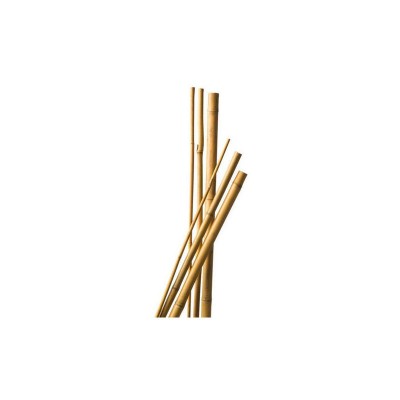 Lot de 12 Tuteurs Bambou 150 cm diam 6-8 mm soldes en ligne