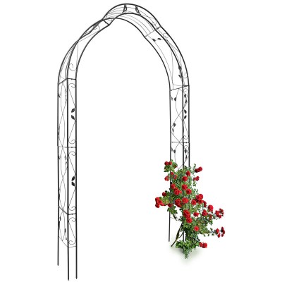  Arche à rosiers Support de plantes grimpantes H x l x P 255 x 137 x 39 cm jardin Terrasse Petits oiseaux fer époxy, noir soldes en ligne