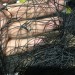 Filet en Nylon solide Anti Protection animale filet de fruits jardin étang récolte maille jeu de football filet de poisson Anti pourriture 4x10 mètres 4x10M soldes en ligne - 0