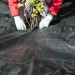  Piquets de fixation sol en plastique, clous, lot de 100, sardines, jardin, tente, fixation terre 11,5 cm, noir soldes en ligne - 4