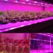 5 M LED Lampes Phyto Full Spectrum LED Light Strip 300 LED 5050 LED Chip grow lights pour effet de serre hydroponique plantes 5: 1 IP65 etanche soldes en ligne - 1