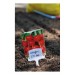 Etiquette jardin - plantes - 10 unités soldes en ligne - 1