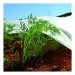 1,6m x 5m non-tissé couverture de la protection des cultures contre le gel de la plante tissu des moustiquaires soldes en ligne