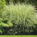  Bordure de jardin plastique, Clôture gazon 28 cm, 4 éléments, parterre massif pelouse, noir soldes en ligne - 1