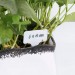 Sekey �tiquettes � planter, 90 pcs 10 x 6 cm, Signes �tiquette autocollante de Jardin �tanche soldes en ligne - 3