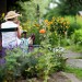  Tuteur de jardin, Colonne rosier, Arche plante grimpante, Set 2 métal rose Arceau, H: 99,5 & 80 cm, vert foncé soldes en ligne - 2