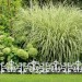  Bordure de jardin fonte de fer, clôture jardin en métal piquet plate-bande antiquités, HxL: 27 x 27 cm, blanc soldes en ligne - 1