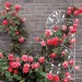  Treillis jardin oiseaux fer, Clôture plante grimpante Grille fleurs métal, Arceau rosier, 120 x 40 cm, blanc soldes en ligne - 1