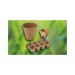 Pot biodégradable 36x5 cm, natur soldes en ligne - 0